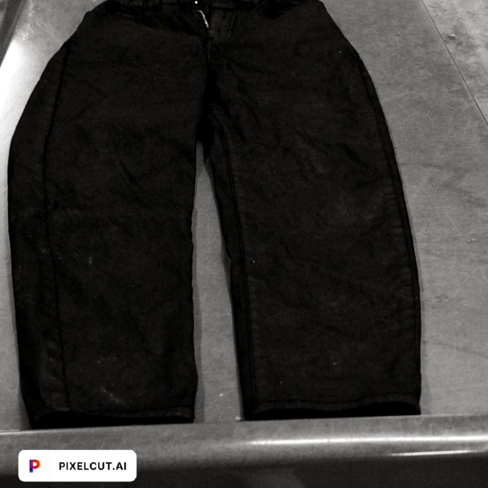 Zara pants
